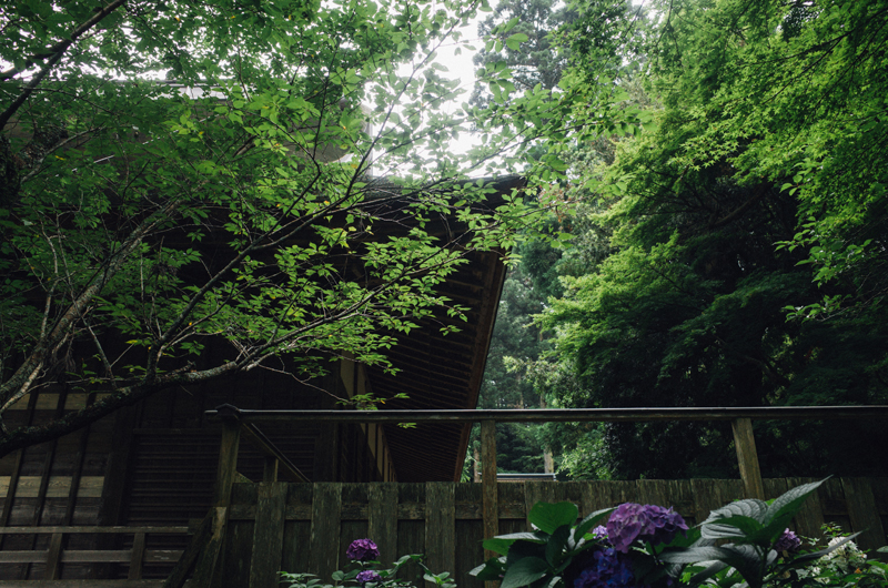 f:id:aremo-koremo:20160706194242j:plain