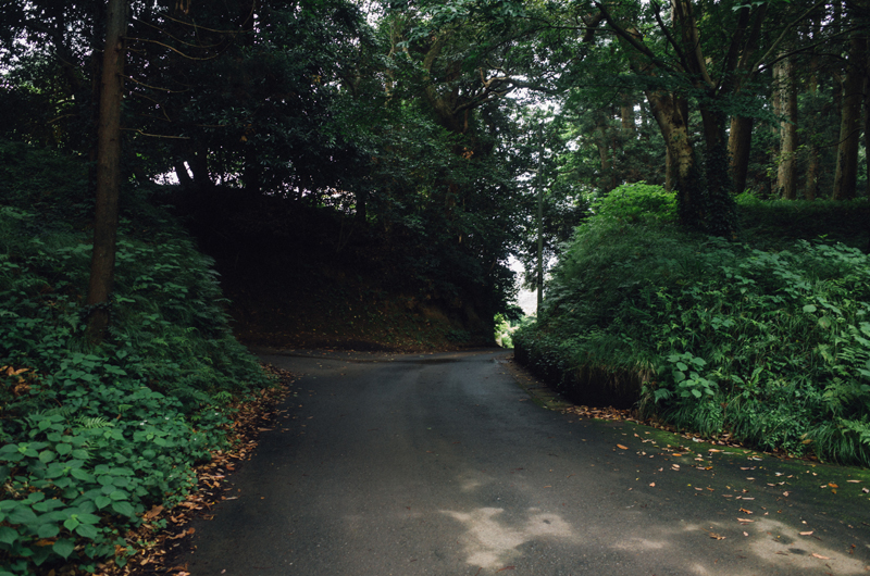 f:id:aremo-koremo:20160706194541j:plain