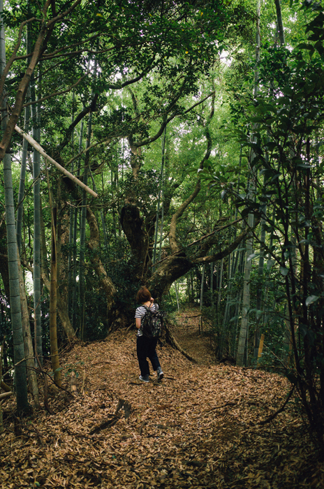 f:id:aremo-koremo:20160706194922j:plain