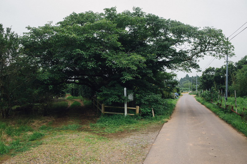 f:id:aremo-koremo:20160706195303j:plain