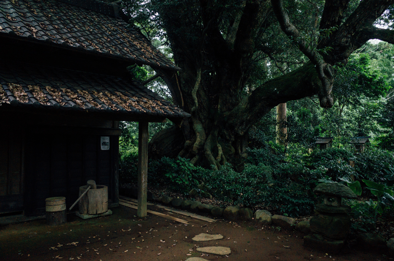 f:id:aremo-koremo:20160708224520j:plain f:id:aremo-koremo:20160708224520j:plain