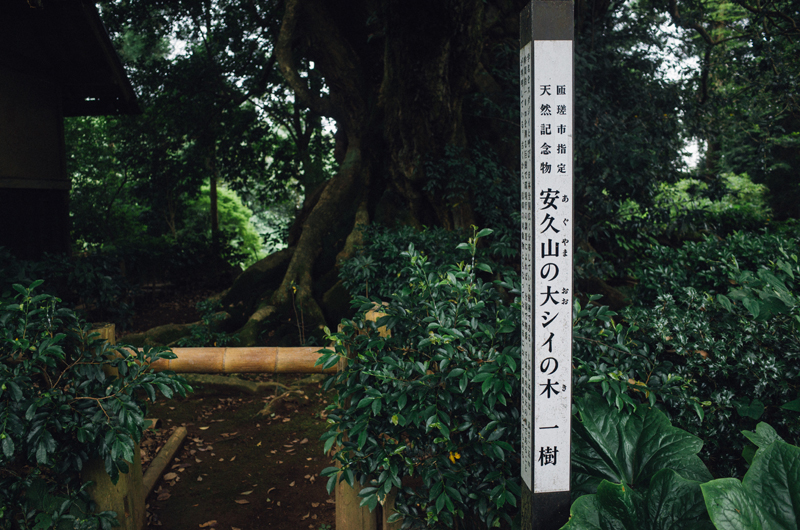 f:id:aremo-koremo:20160708225505j:plain f:id:aremo-koremo:20160708225505j:plain