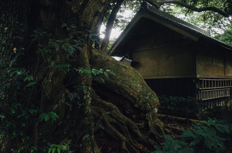 f:id:aremo-koremo:20160708225612j:plain f:id:aremo-koremo:20160708225612j:plain