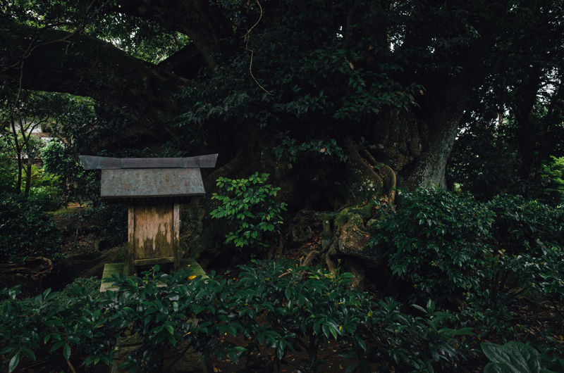 f:id:aremo-koremo:20160708225834j:plain f:id:aremo-koremo:20160708225834j:plain