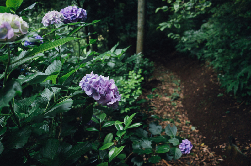 f:id:aremo-koremo:20160708230327j:plain f:id:aremo-koremo:20160708230327j:plain