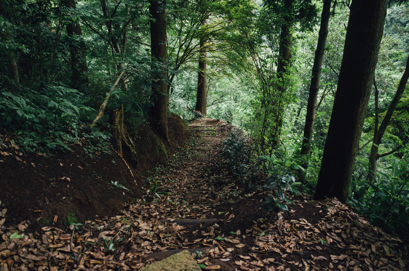 f:id:aremo-koremo:20160708230352j:plain f:id:aremo-koremo:20160708230352j:plain