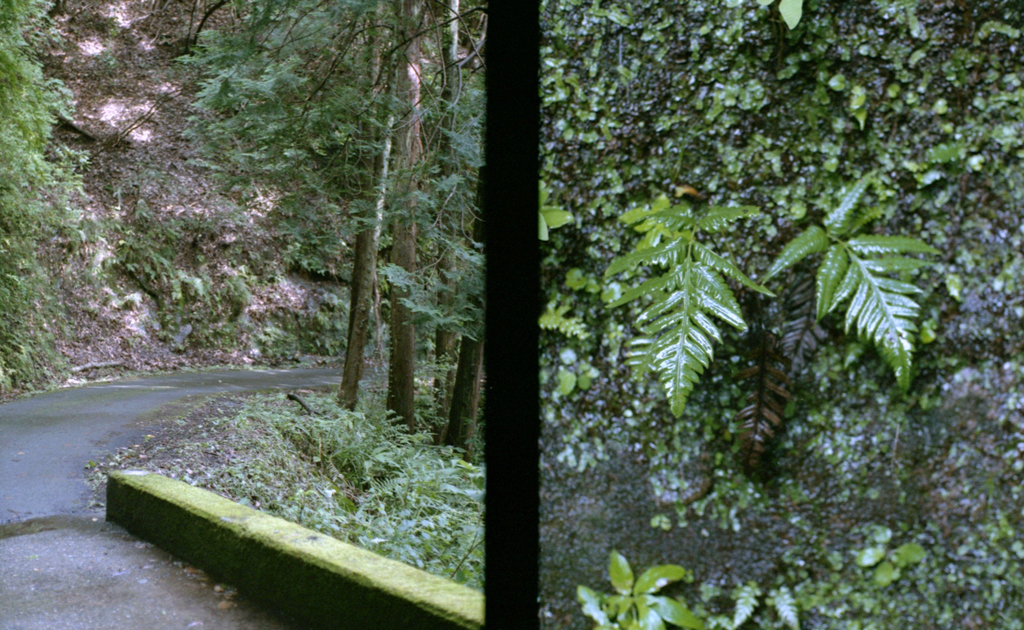 f:id:aremo-koremo:20160827133214j:plain f:id:aremo-koremo:20160827133214j:plain