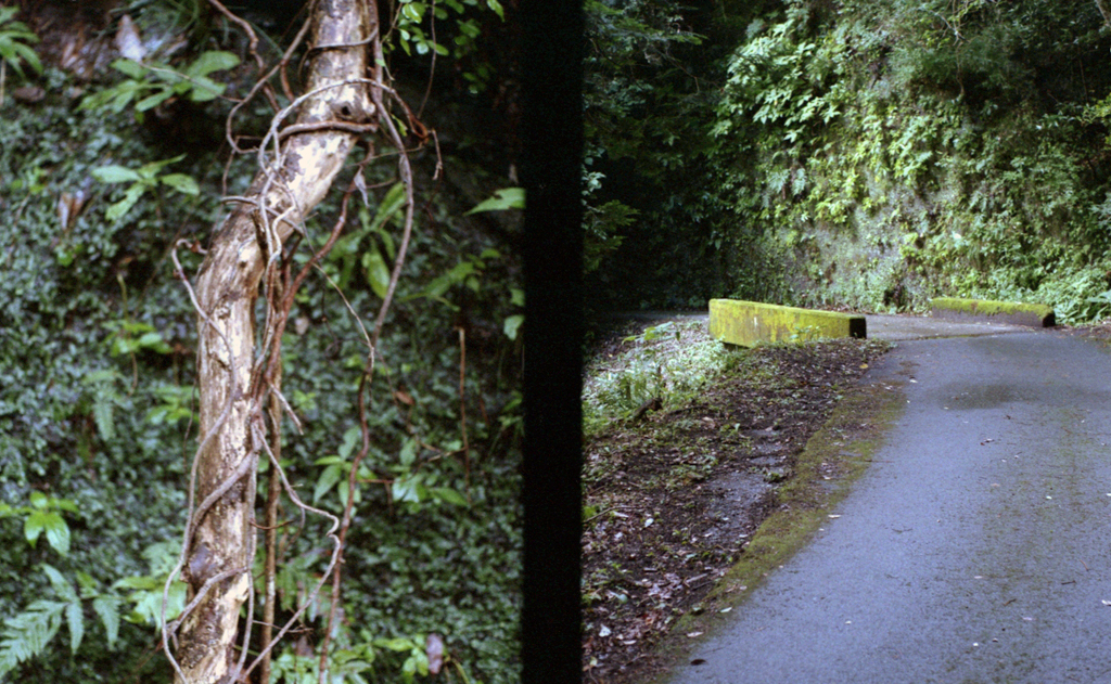 f:id:aremo-koremo:20160827133407j:plain f:id:aremo-koremo:20160827133407j:plain