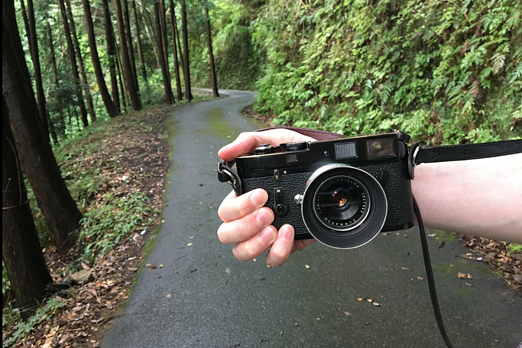 f:id:aremo-koremo:20160827141914j:plain f:id:aremo-koremo:20160827141914j:plain