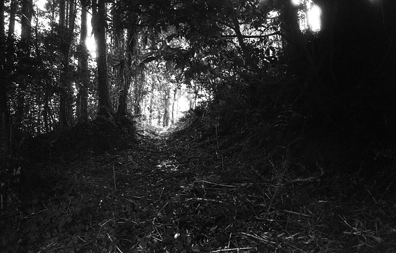 f:id:aremo-koremo:20160904164547j:plain