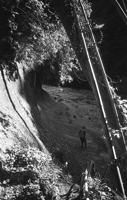 f:id:aremo-koremo:20160904164959j:plain