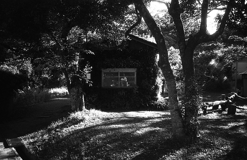 f:id:aremo-koremo:20160904165133j:plain