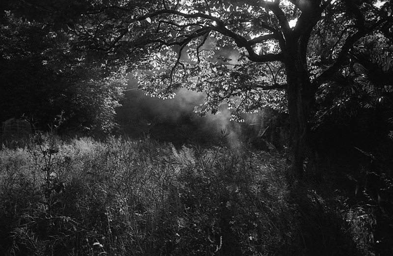 f:id:aremo-koremo:20160904165401j:plain