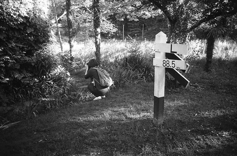 f:id:aremo-koremo:20160904165729j:plain