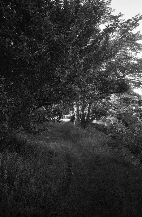 f:id:aremo-koremo:20160904170043j:plain