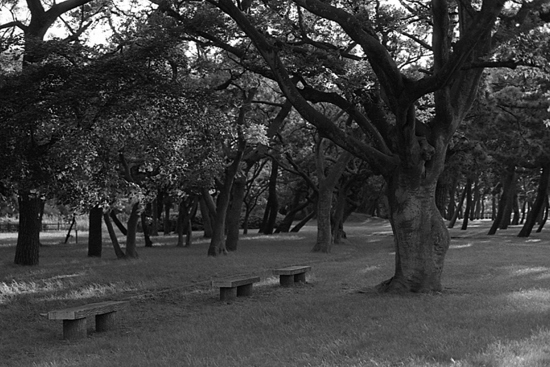 f:id:aremo-koremo:20161017184444j:plain