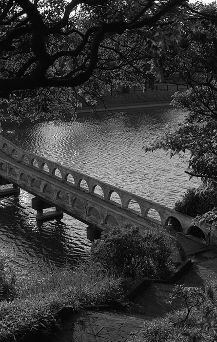 f:id:aremo-koremo:20161017184626j:plain