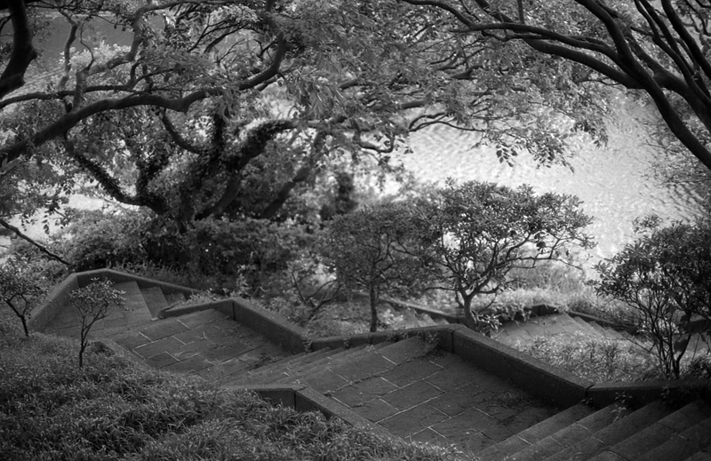 f:id:aremo-koremo:20161017185023j:plain