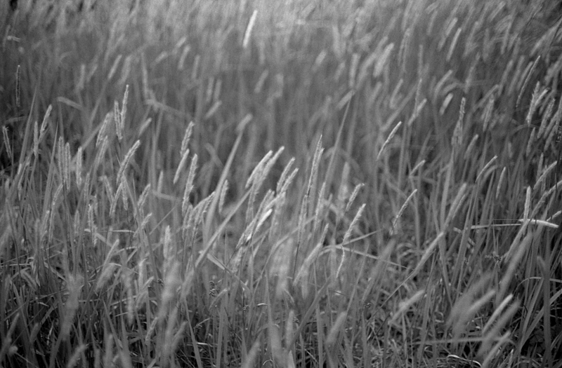 f:id:aremo-koremo:20161017185412j:plain