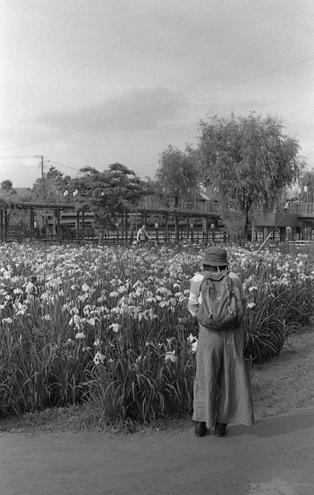 f:id:aremo-koremo:20161017192438j:plain