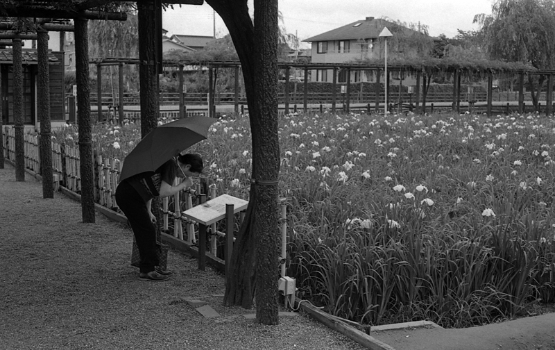 f:id:aremo-koremo:20161017192543j:plain