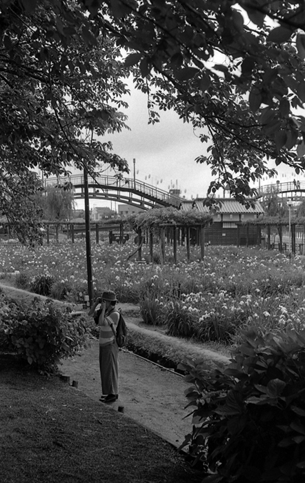 f:id:aremo-koremo:20161017192701j:plain