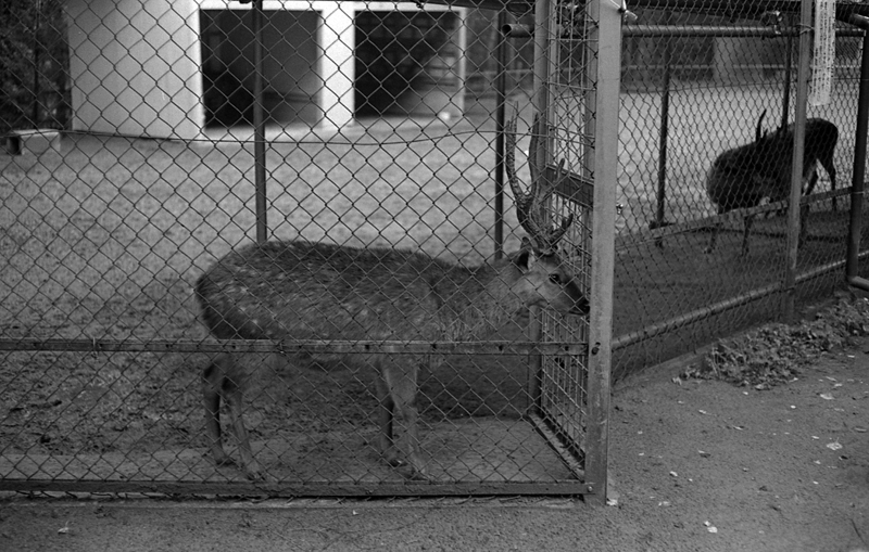 f:id:aremo-koremo:20161017192946j:plain