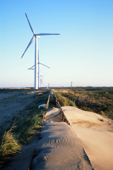 f:id:aremo-koremo:20161114174639j:plain f:id:aremo-koremo:20161114174639j:plain