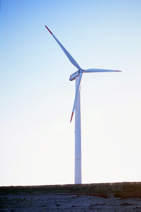 f:id:aremo-koremo:20161114175043j:plain f:id:aremo-koremo:20161114175043j:plain