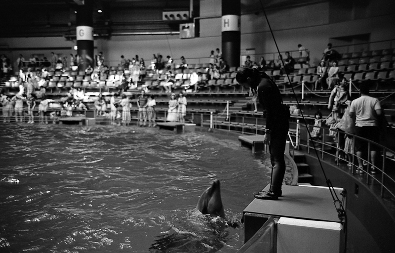 f:id:aremo-koremo:20161123214321j:plain