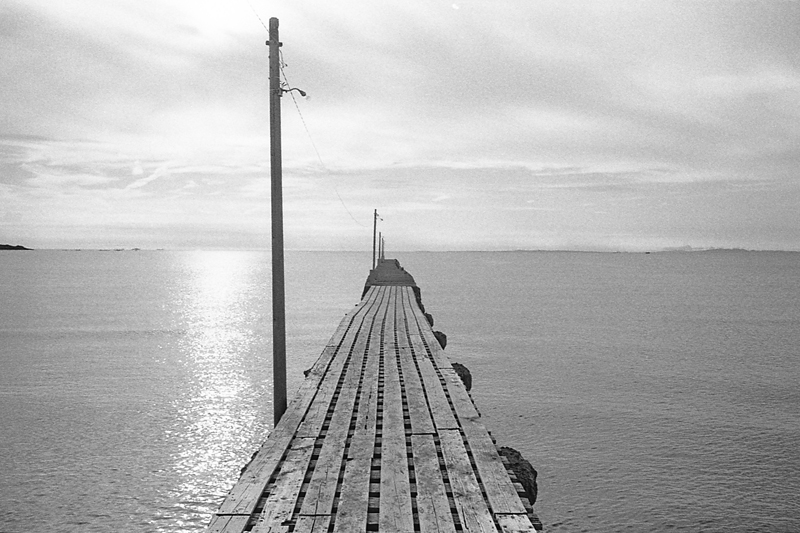 f:id:aremo-koremo:20161217194801j:plain f:id:aremo-koremo:20161217194801j:plain