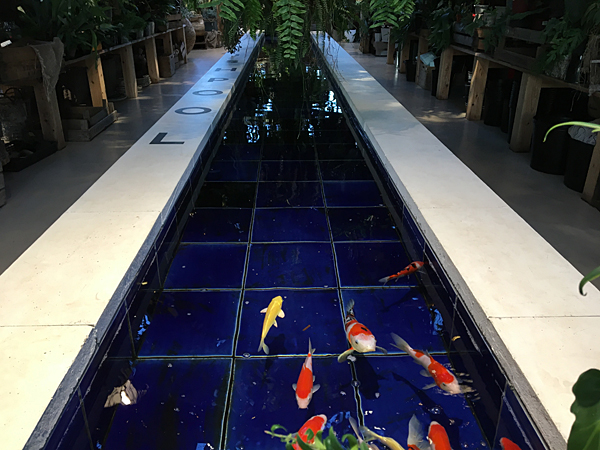 f:id:aremo-koremo:20161226170038j:plain