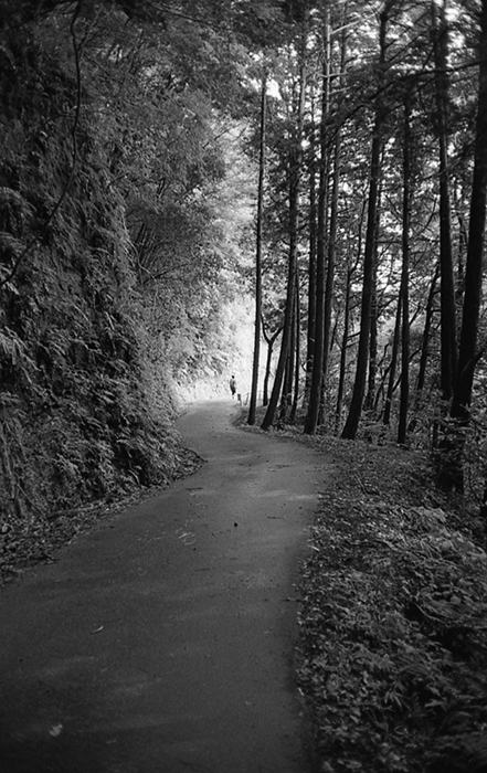 f:id:aremo-koremo:20161226170359j:plain