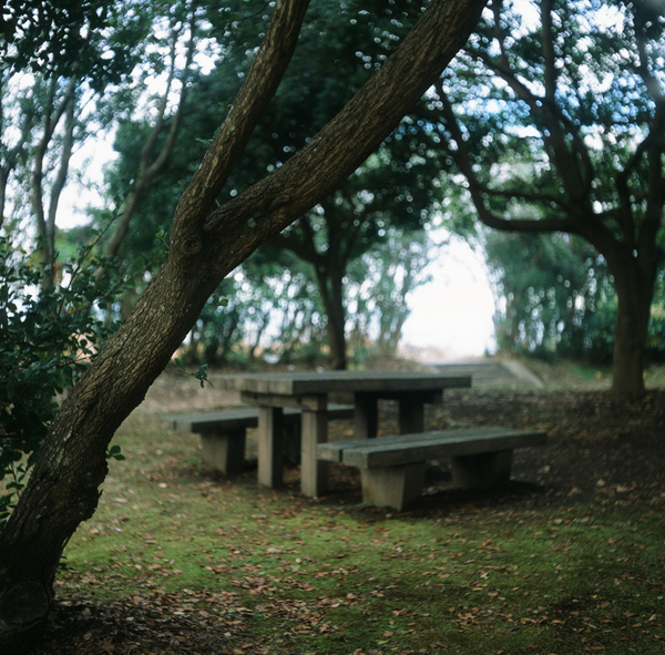 f:id:aremo-koremo:20170108173822j:plain