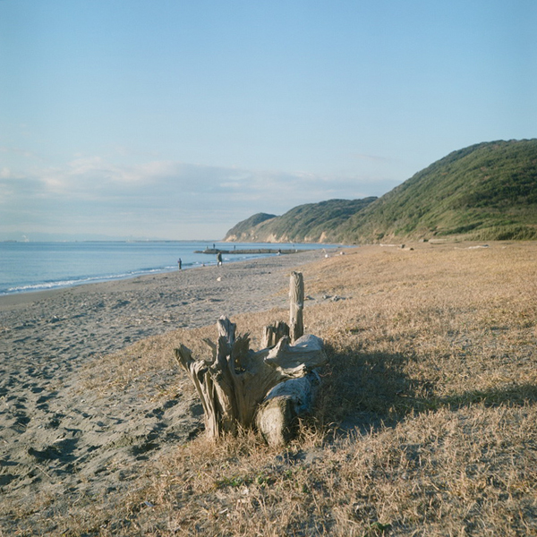 f:id:aremo-koremo:20170108174339j:plain