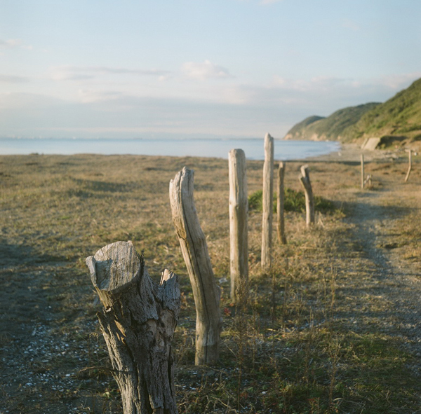 f:id:aremo-koremo:20170108174632j:plain