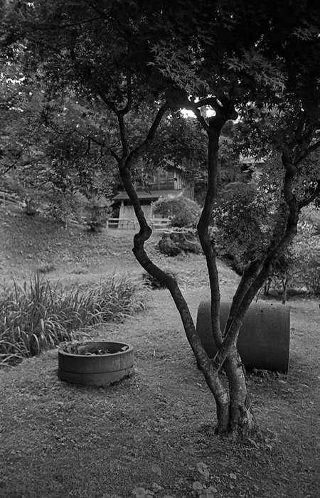 f:id:aremo-koremo:20170125173615j:plain