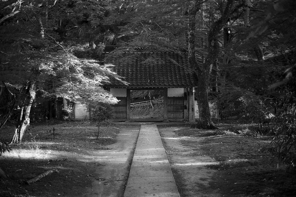 f:id:aremo-koremo:20170125173630j:plain