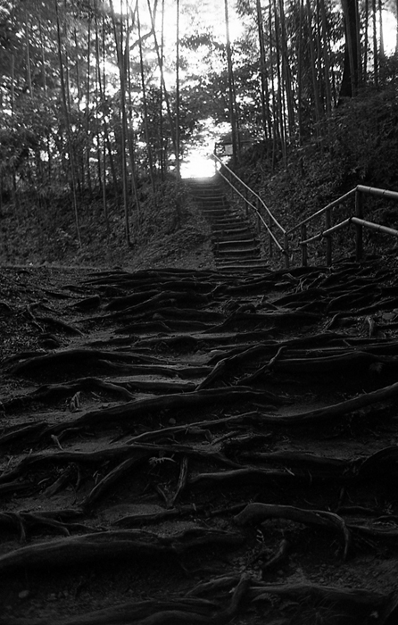 f:id:aremo-koremo:20170125173701j:plain