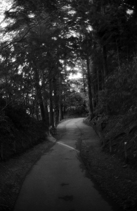 f:id:aremo-koremo:20170125173717j:plain