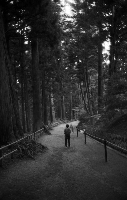 f:id:aremo-koremo:20170125173726j:plain