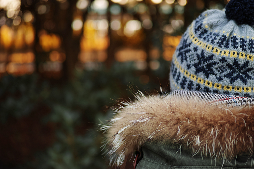 f:id:aremo-koremo:20170127232619j:plain f:id:aremo-koremo:20170127232619j:plain