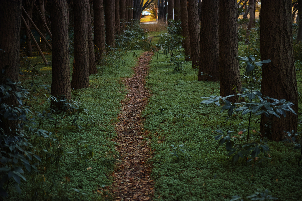 f:id:aremo-koremo:20170127233002j:plain f:id:aremo-koremo:20170127233002j:plain