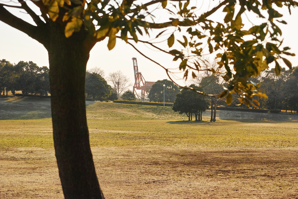 f:id:aremo-koremo:20170127233134j:plain f:id:aremo-koremo:20170127233134j:plain