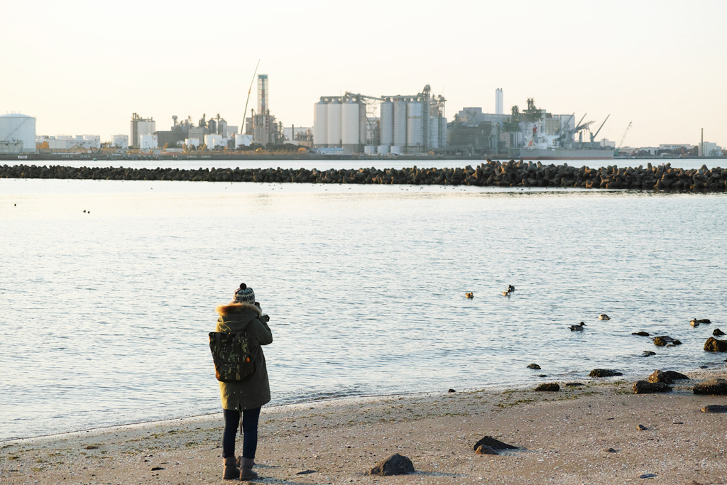 f:id:aremo-koremo:20170127233355j:plain f:id:aremo-koremo:20170127233355j:plain