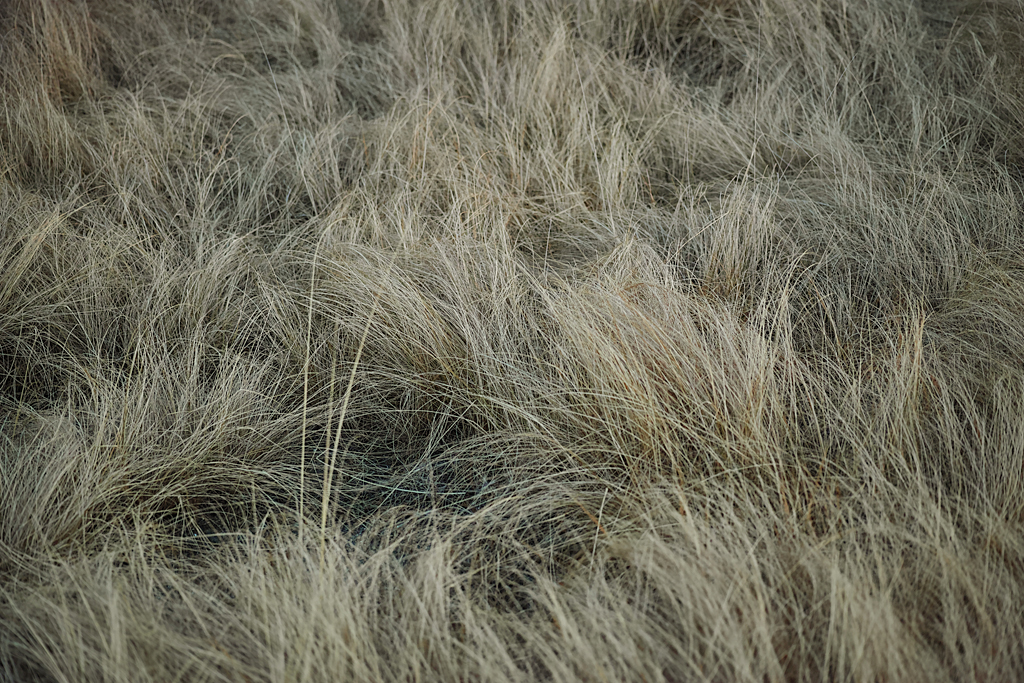 f:id:aremo-koremo:20170127235422j:plain f:id:aremo-koremo:20170127235422j:plain