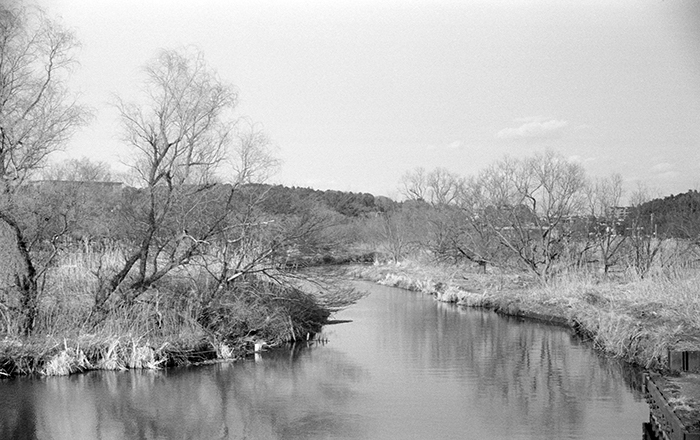 f:id:aremo-koremo:20170424150748j:plain