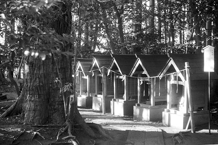 f:id:aremo-koremo:20170424150848j:plain