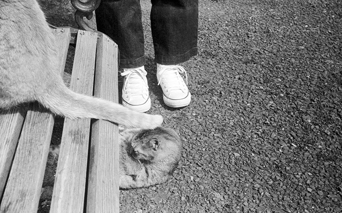 f:id:aremo-koremo:20170424151144j:plain