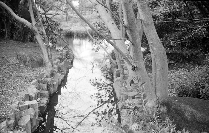 f:id:aremo-koremo:20170424151311j:plain